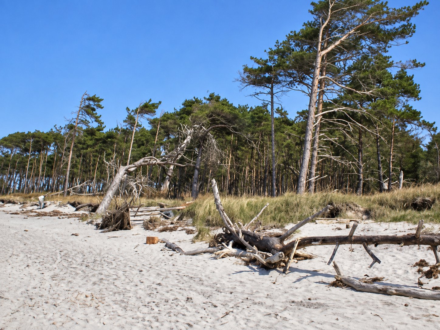 Weststrand